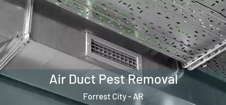  Air Duct Pest Removal Forrest City - AR