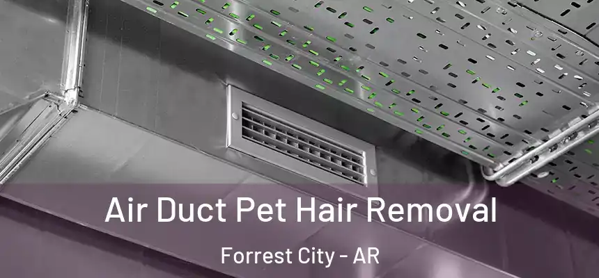  Air Duct Pet Hair Removal Forrest City - AR