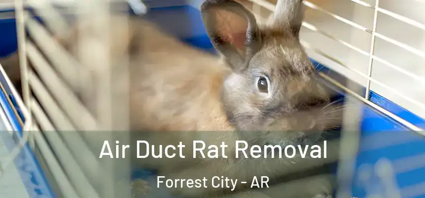 Air Duct Rat Removal Forrest City - AR