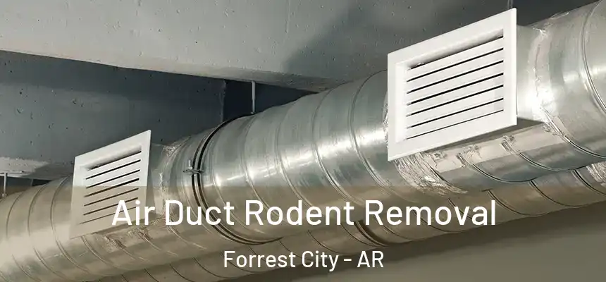 Air Duct Rodent Removal Forrest City - AR
