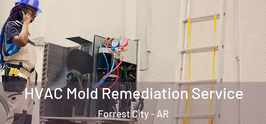 HVAC Mold Remediation Service Forrest City - AR