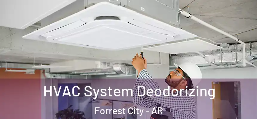 HVAC System Deodorizing Forrest City - AR