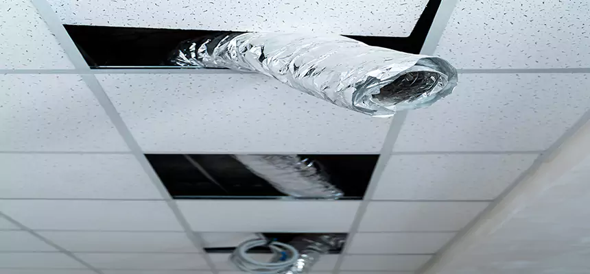 Our Air Duct Pet Hair Removal Services in Forrest City, AR