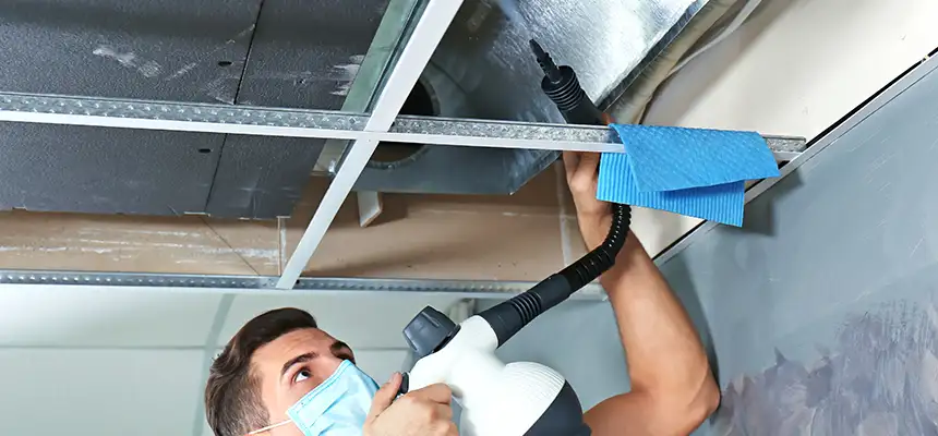 Our Air Duct Rodent Removal Services in Forrest City, AR