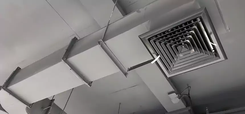 Restorative Allergy Relief Vent Cleaning – Coil, Blower & Housing Detail in Forrest City