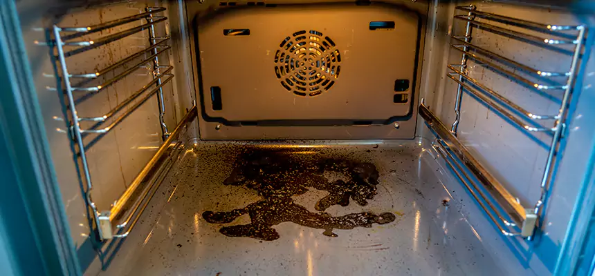 Our Dryer Vent Mold Cleaning Services in Forrest City, AR