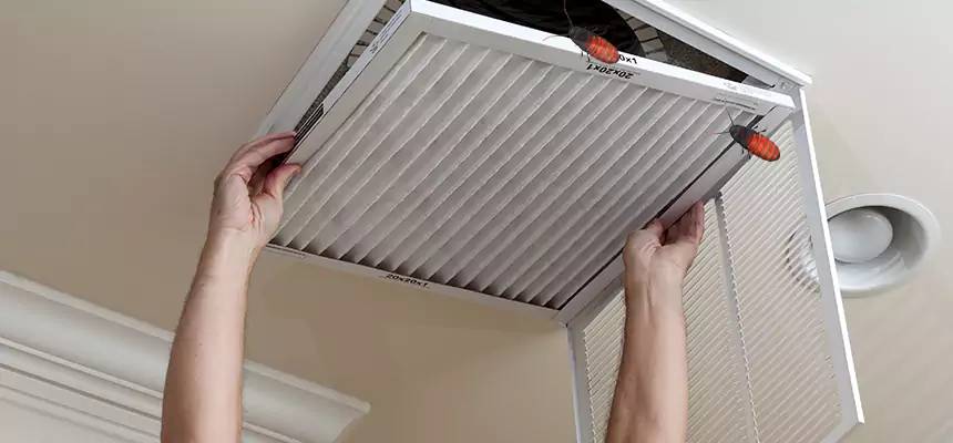 Our Insect Removal from Air Ducts Services in Forrest City, AR