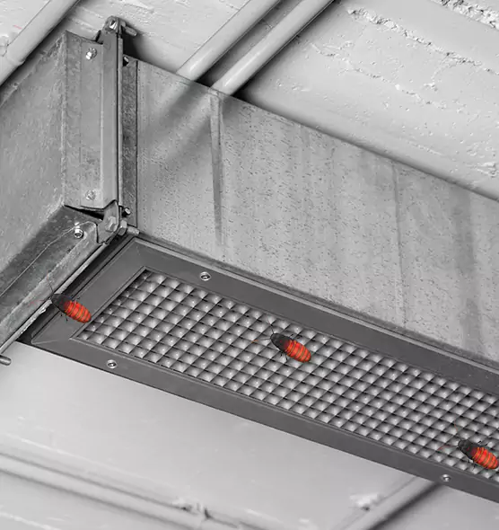 About Air Duct Cockroach Removal in Forrest City, AR