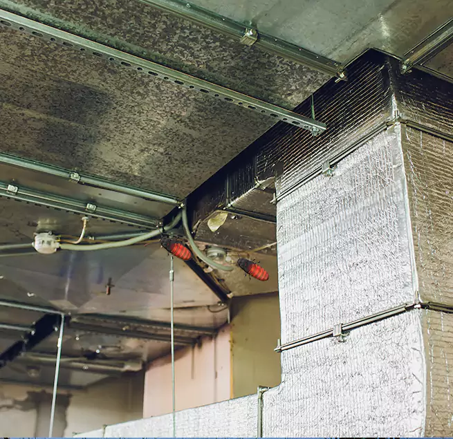 Why Homeowners & Businesses Trust Us in Forrest City, AR?