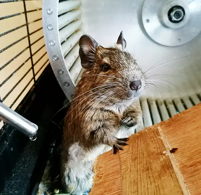 Why Homeowners & Businesses Trust Us Forrest City, AR